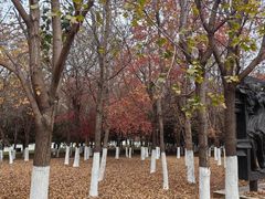 -长春世界雕塑园冰雪艺术天地