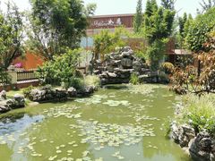 -洪湖家庭农场·团建·露营·会议