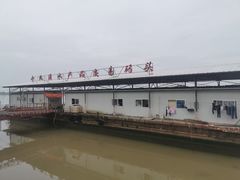 -大湾区中央湿地公园-十九涌