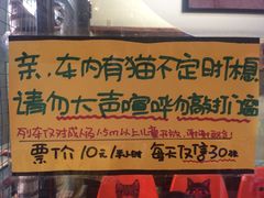 -猫咪博物馆(顶澳仔猫街店)