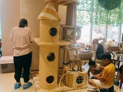 -藏猫猫咖啡主题馆(中央大道店)