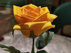 -雀蓝川菜(星悦汇店)
