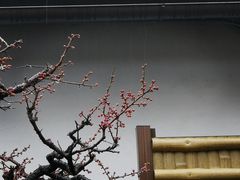 -中村藤吉(本店)