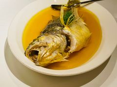 鸡油蒸黄鱼-玫瑰厅上海菜(兴国路店)