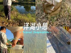 -洋湖国家湿地公园