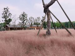-安顺旧州古镇