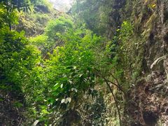 -中岜朗天坑(CV GEO INDO RAYA)