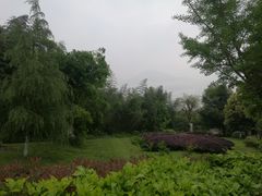 -雅安楠水阁温泉酒店