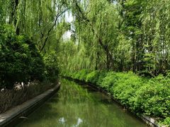 -洛阳市隋唐城遗址植物园