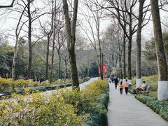 -杭州植物园