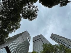 -悦厅·下午茶(杭州柏悦酒店)