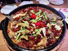 -老板恋上鱼(恒隆广场店)