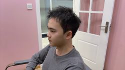 -YESIDO椰岛造型