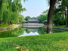 -万柳阁小馆·花园餐厅(龙潭湖店)
