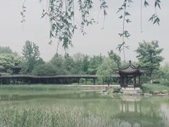 -日出青木·杭帮菜名店