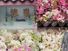 -深圳国际园林花卉博览园