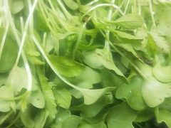 -大京袁记烤全羊农家(大京水库店)