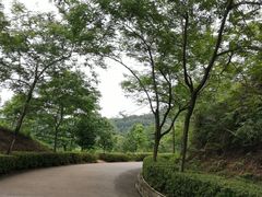 -田心森林公园