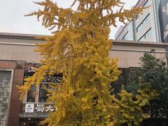 -王府井百货(总府店)