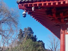 -华清宫景区