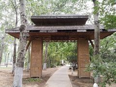 -大兴滨河森林公园