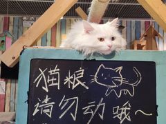 -小时光咖啡馆(开森度假森林店)