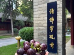 -罔极寺