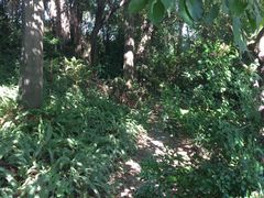 -佛山祈福仙湖酒店