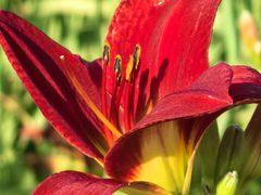 -汉长安城未央宫国家考古遗址公园