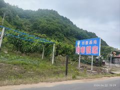 -河口景区