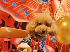 -小意思咖啡店(草桥店)
