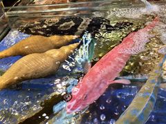 -渔友鲜海鲜加工(海鲜大世界店)