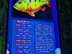 -合肥海洋世界