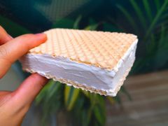 索菲亚威化牛奶冰淇淋-水果地带(中航国际店)