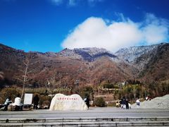 -卧龙中华大熊猫苑神树坪基地