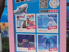 -海合安成都极地海洋公园