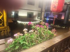 -有一锅·野生菌黑山羊腊排骨火锅(古城北门店)