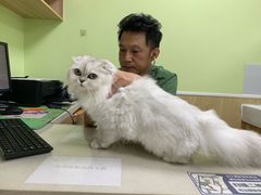 -瑞鹏宠物医院犬猫全科(真大分院)