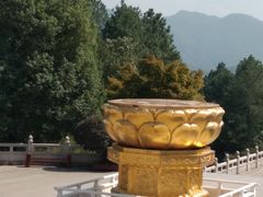 -庐山风景名胜区-东林大佛