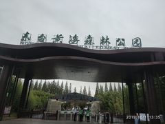 -黄海国家森林公园