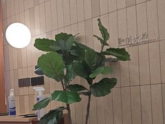 -池奈·咖喱蛋包饭(熙地港店)