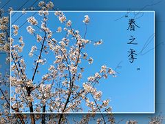 -临汾涝洰河生态公园