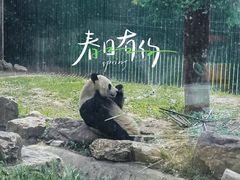 -沈阳森林动物园