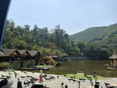 -西双版纳原始森林公园