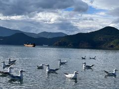 -丽江泸沽湖景区