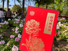 -曹州牡丹园