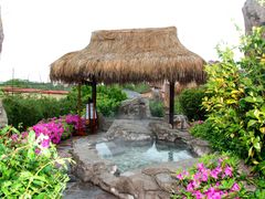 -金孔雀温泉旅游度假村