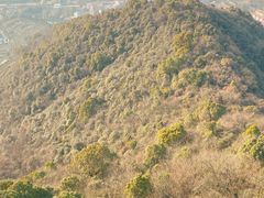 -杭州半山国家森林公园