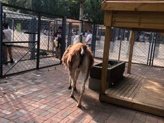 -长白岛森林公园