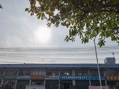 -鱼珠码头(轮渡站)